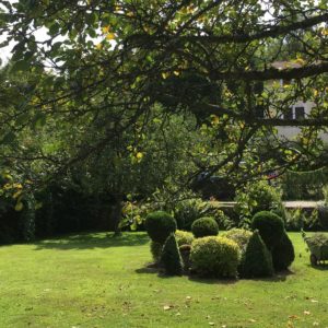 jardin-villa-le-nid-2018